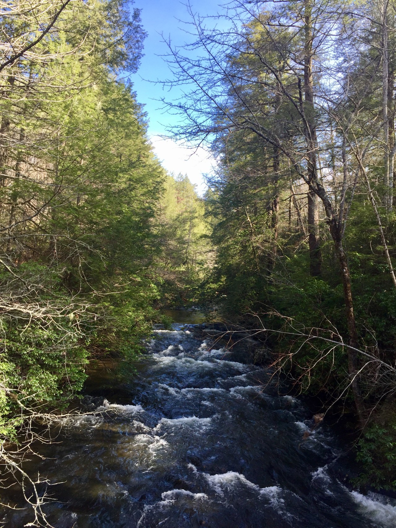 On The Trail & On The Road