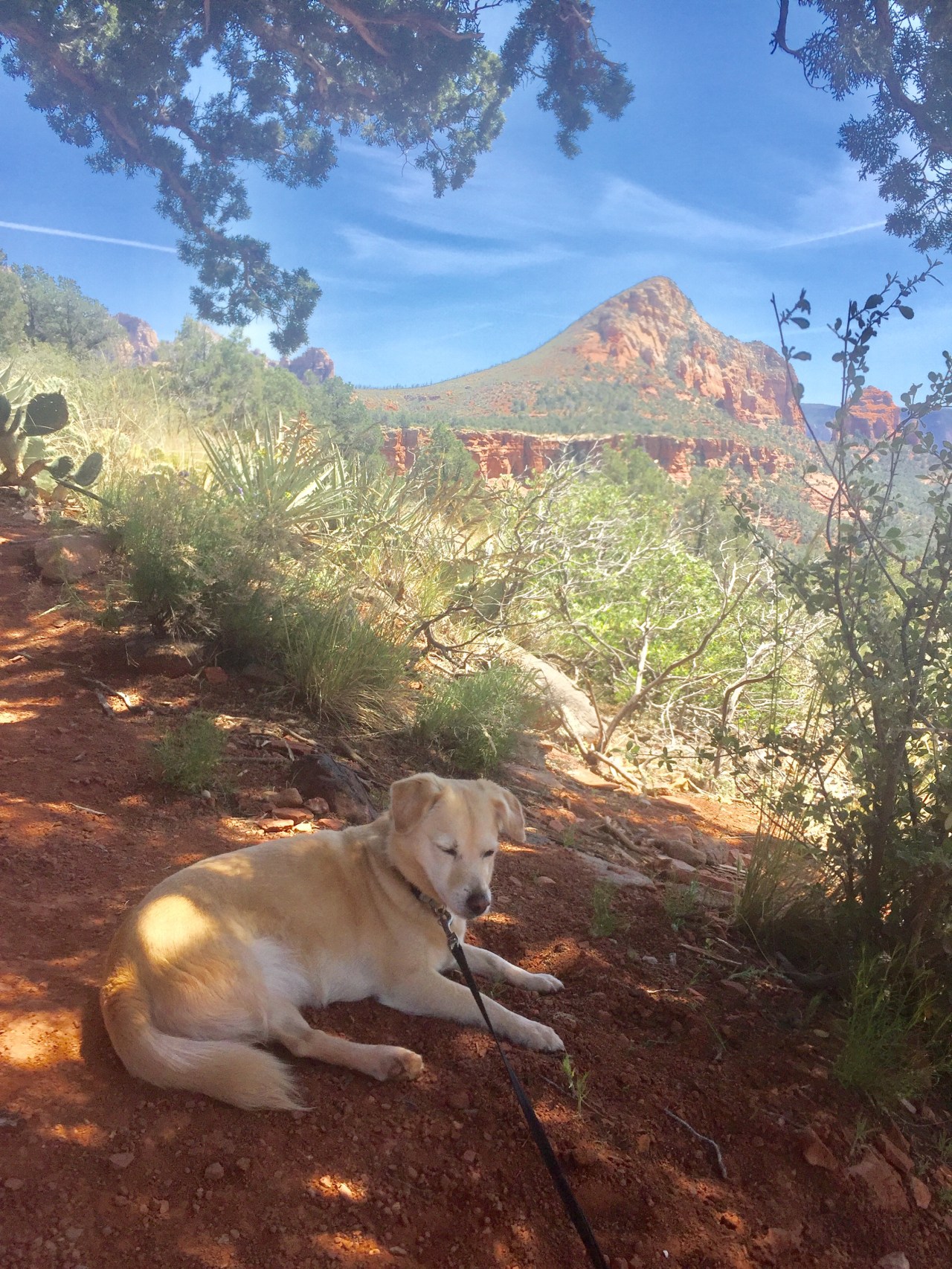 Friday taking a break