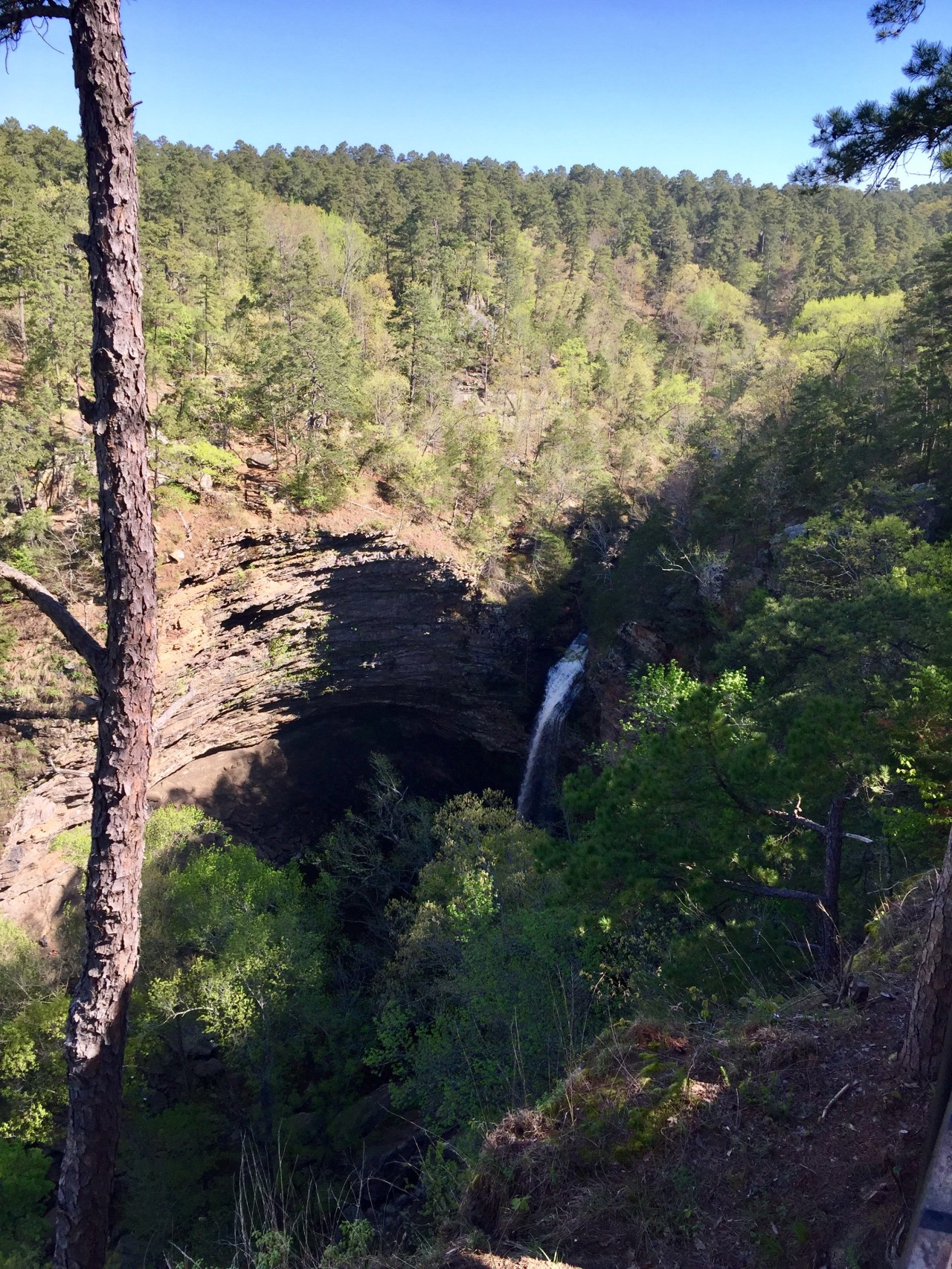 FullSizeRender copy 10