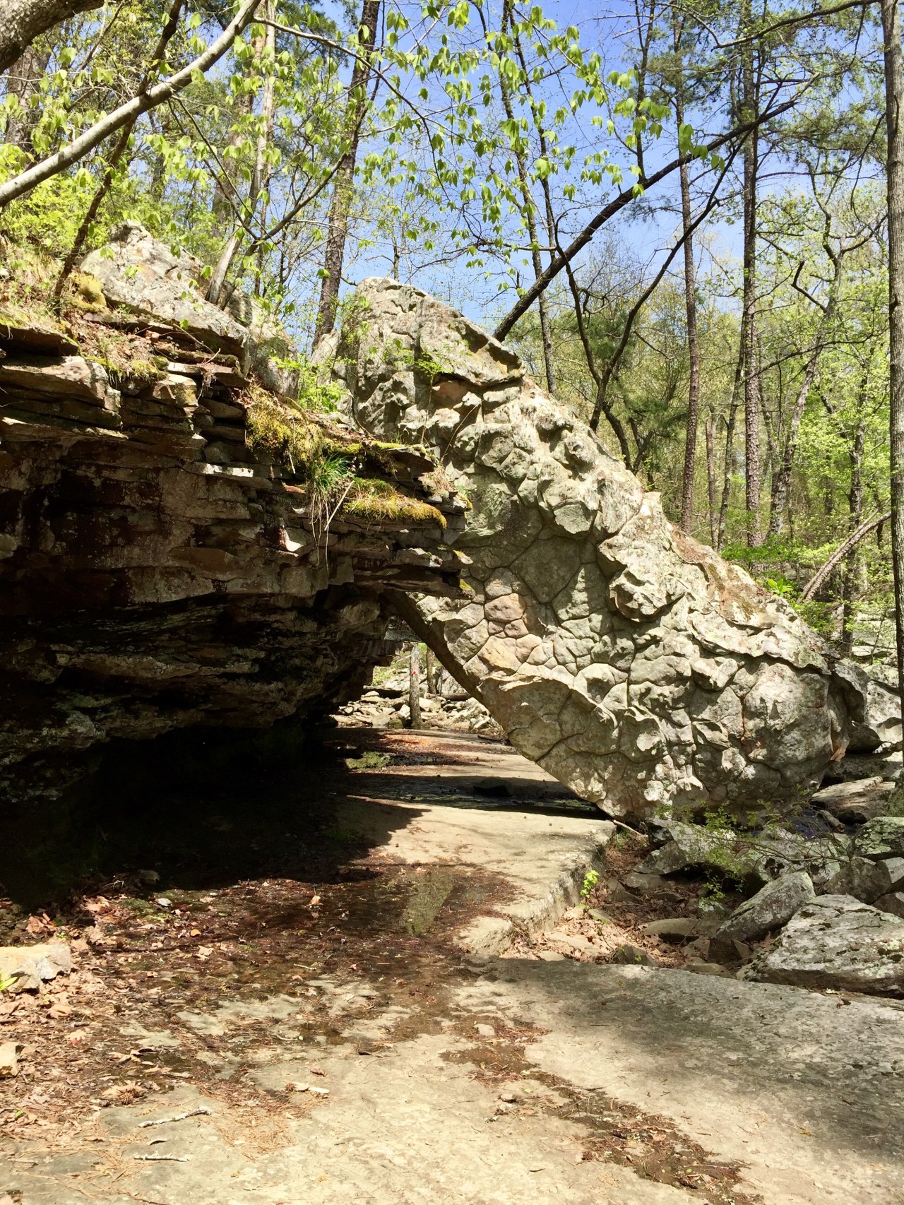 FullSizeRender copy 11