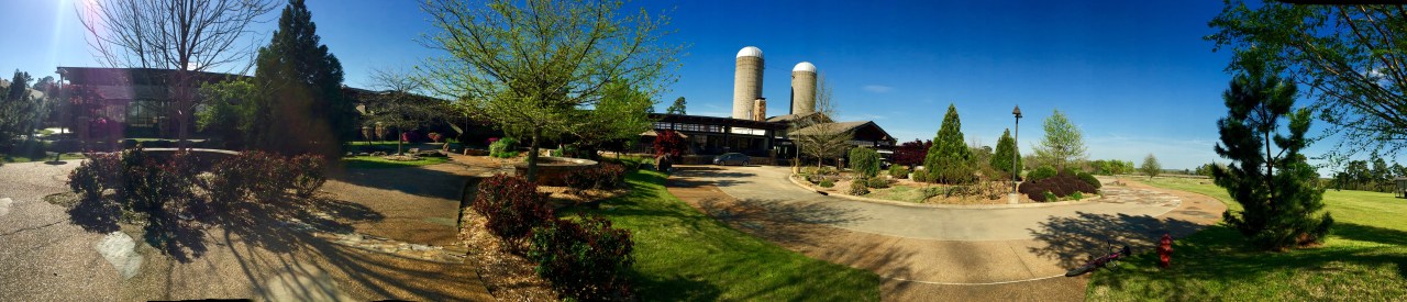 FullSizeRender copy 12