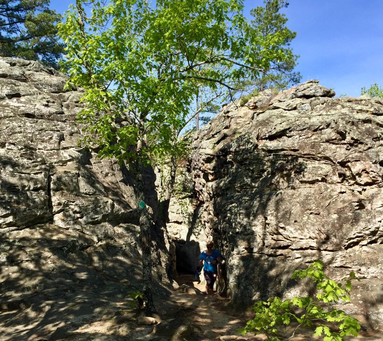 FullSizeRender copy 7