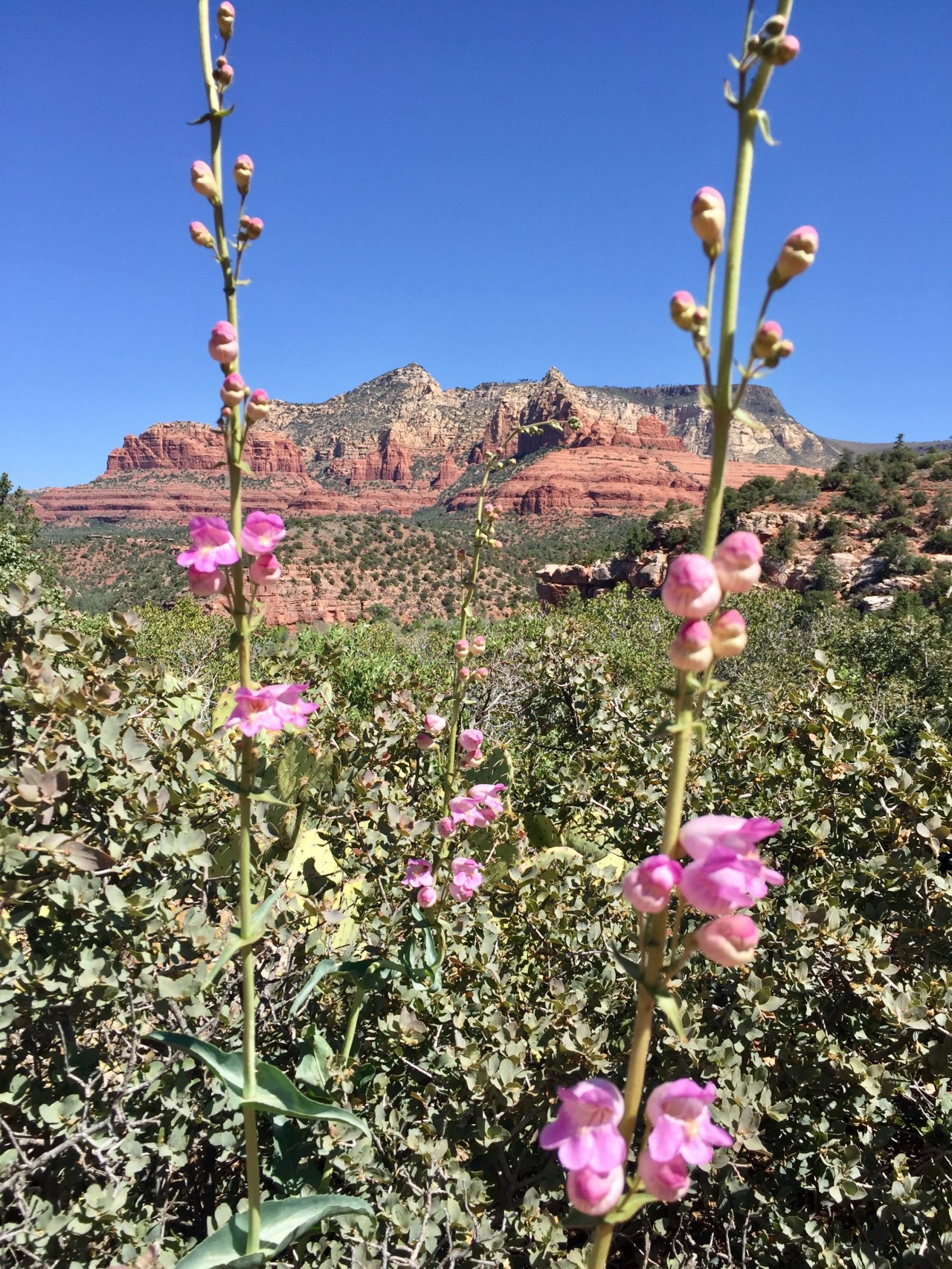 Coincidence?… I Think Not.