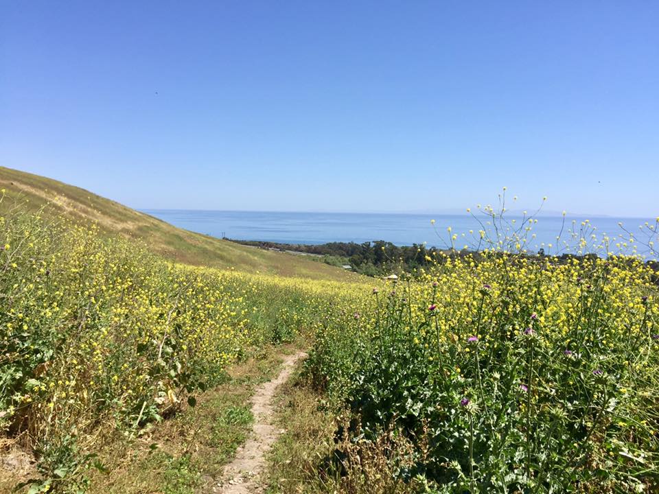 Bill Wallace Trail 3