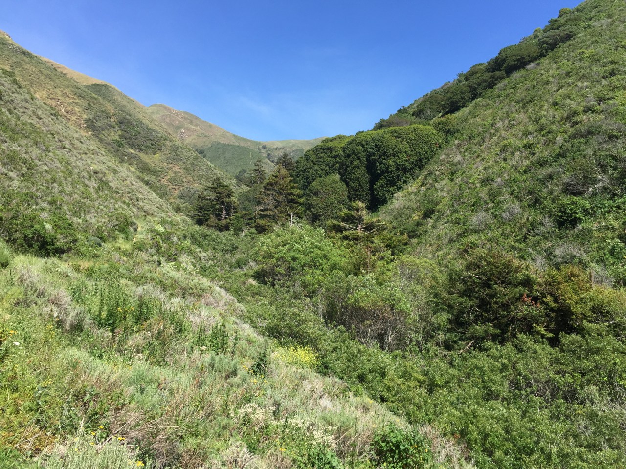 On Trail Running, Nature & Spirituality.