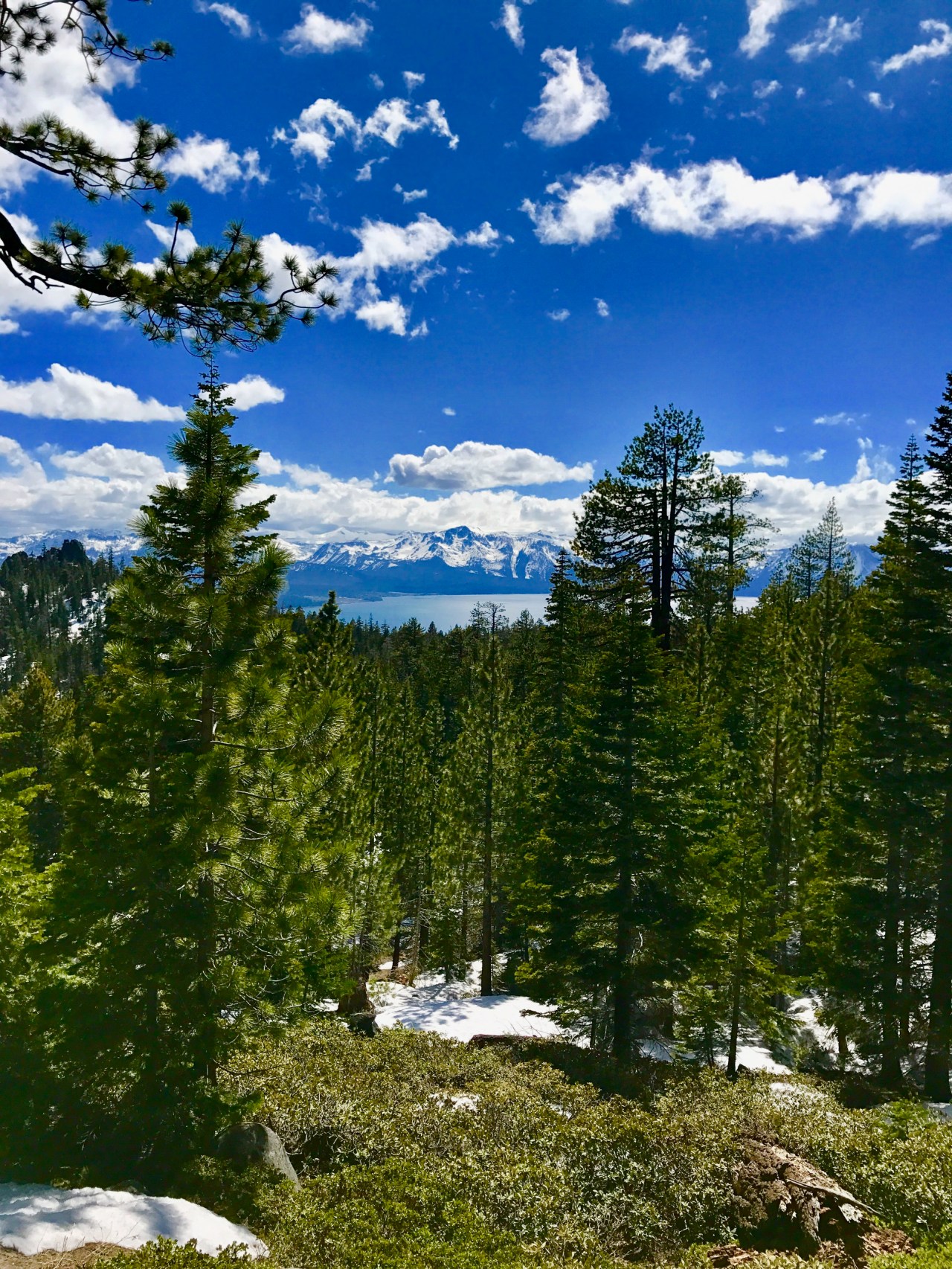 Lake Tahoe1