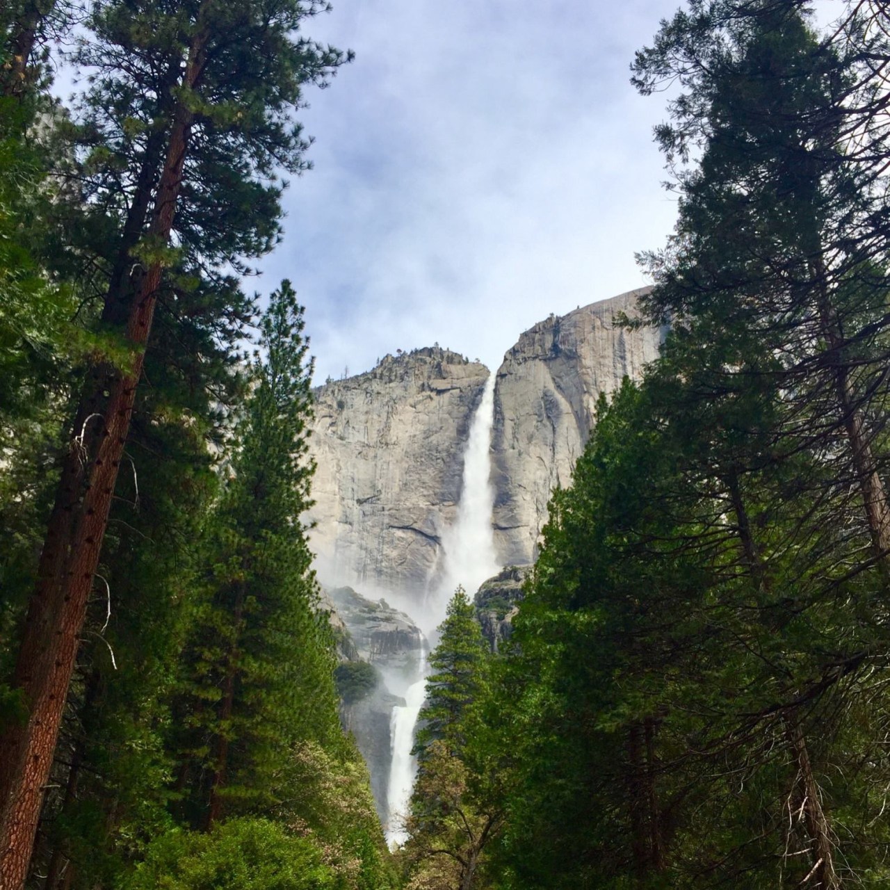 Yosemite1