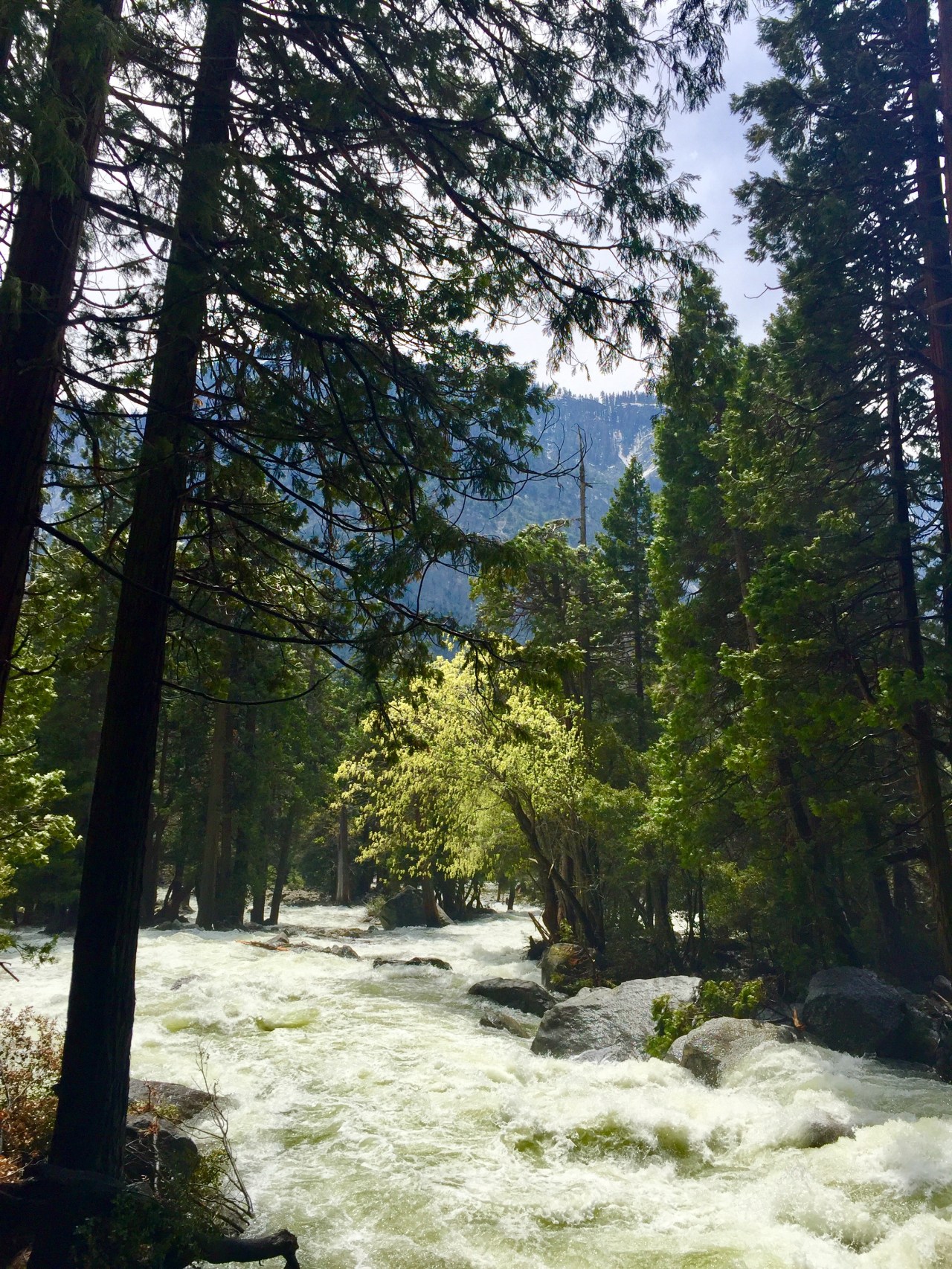 Yosemite5