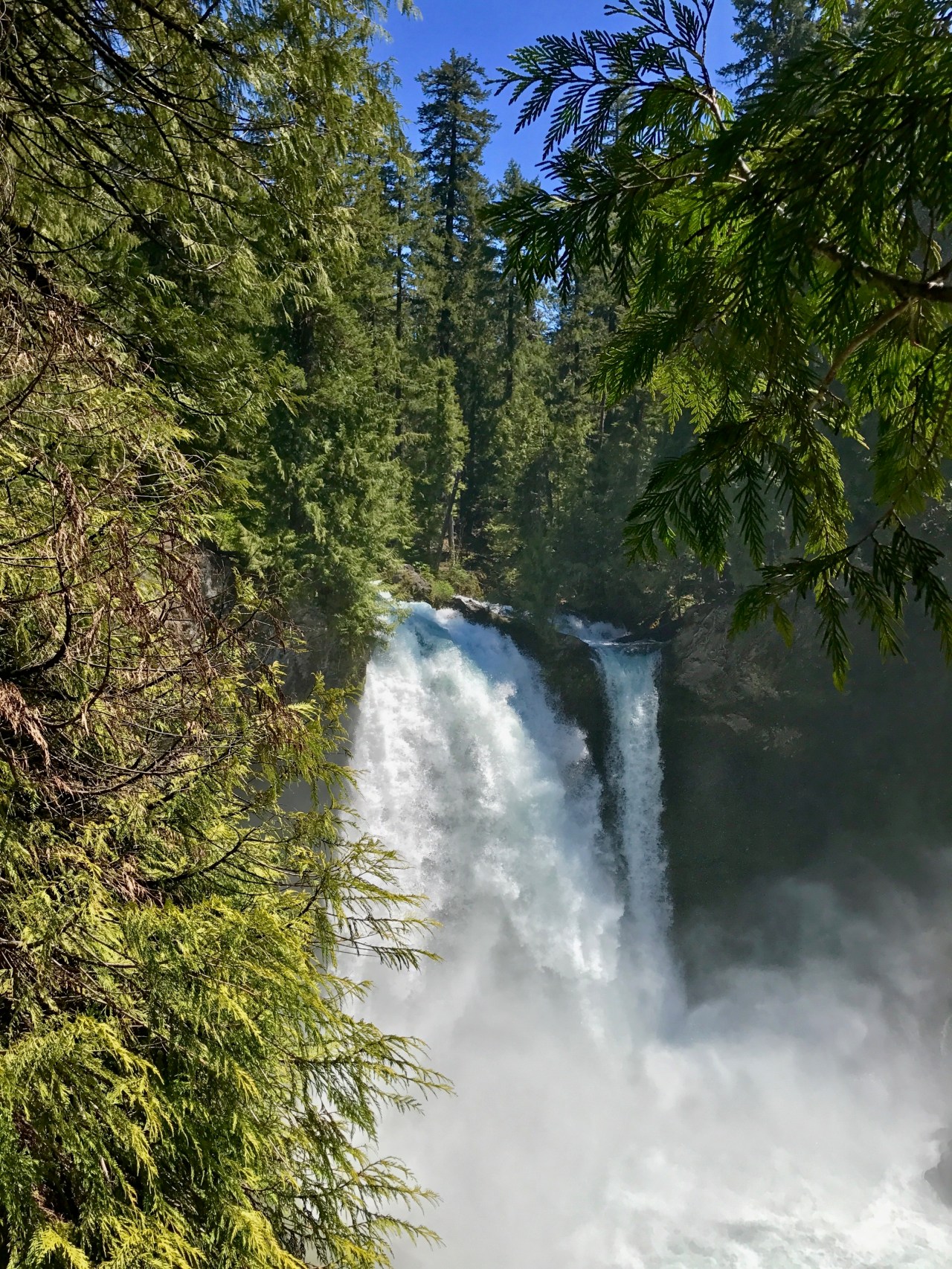 Trinidad To The Olympic Peninsula & The Oregon Trails In Between
