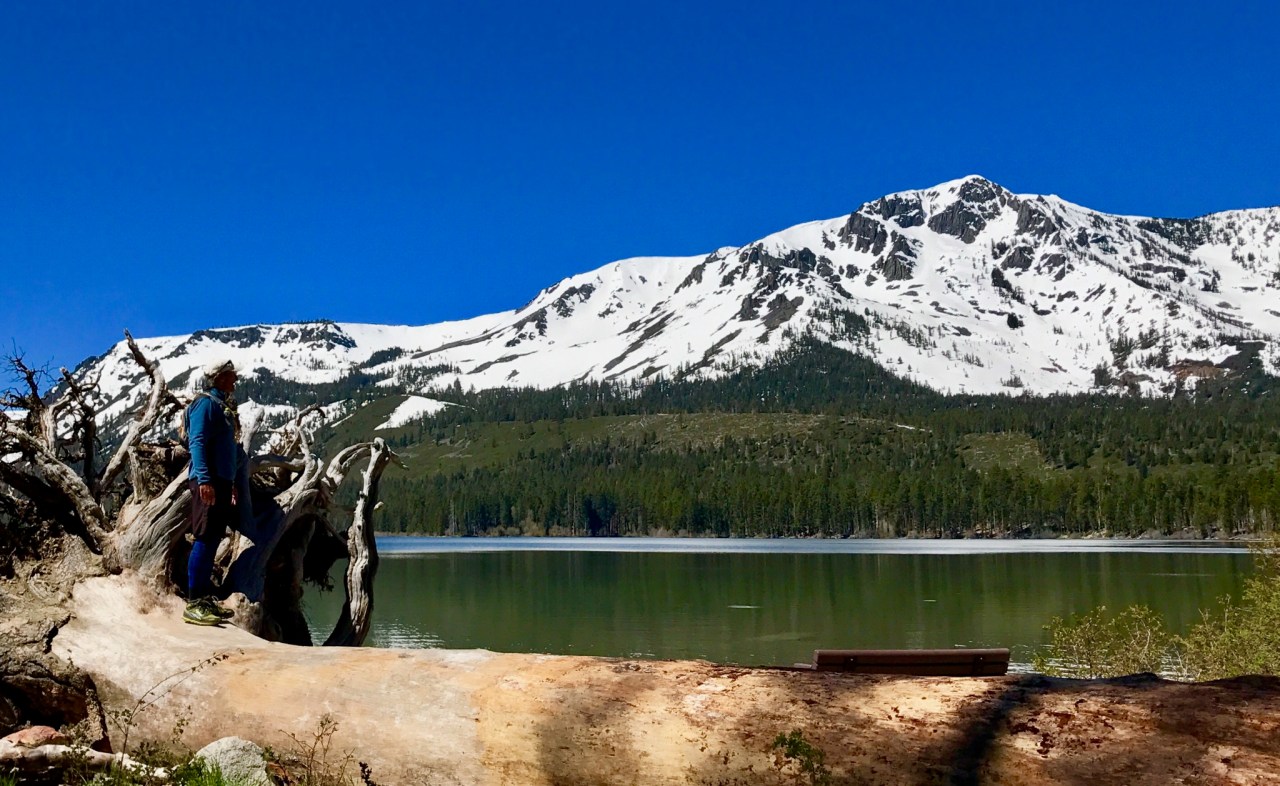 Recovery On The Run & The Power Of Persistence.