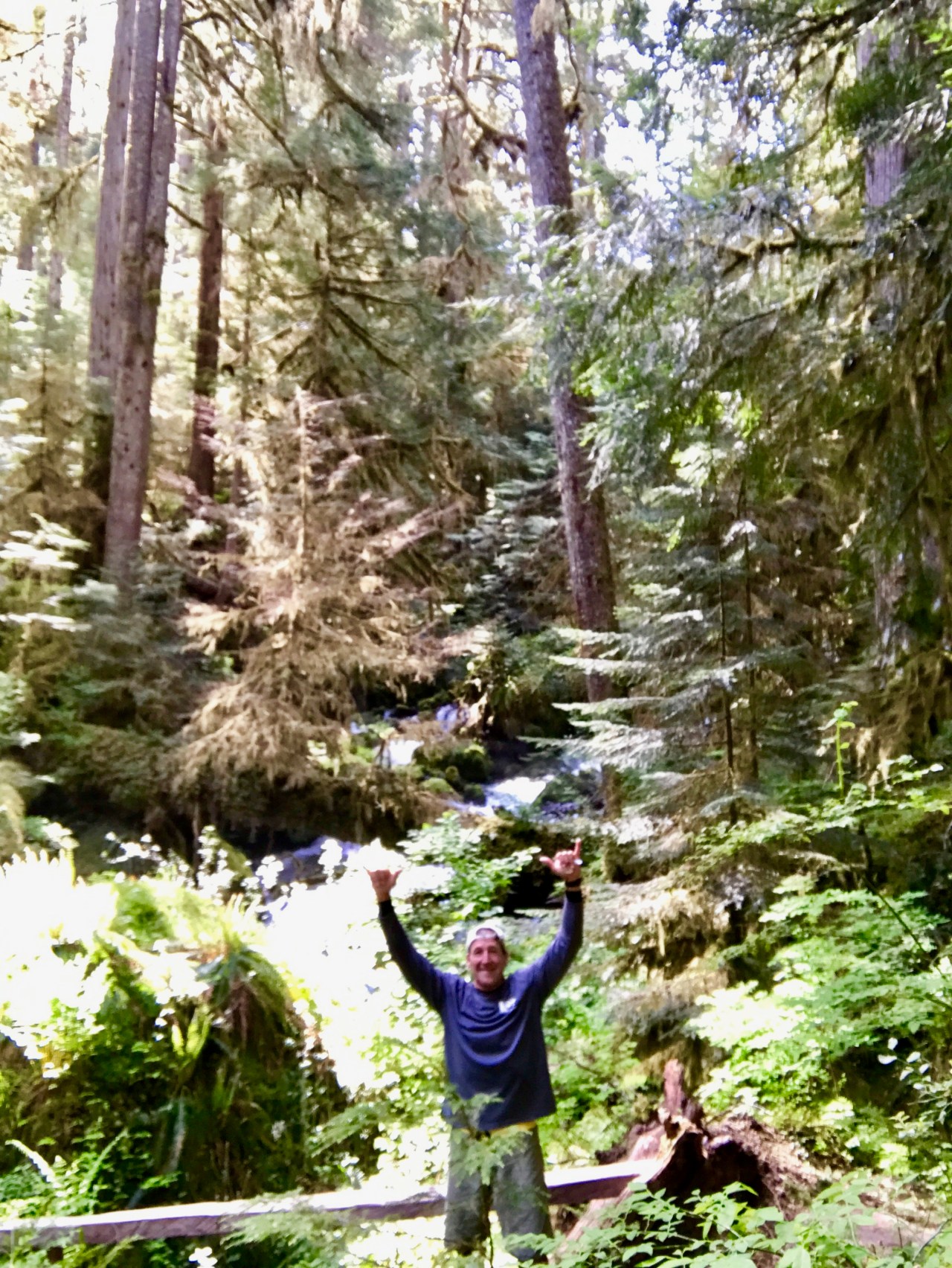 Olympic Peninsula Little River Trail2