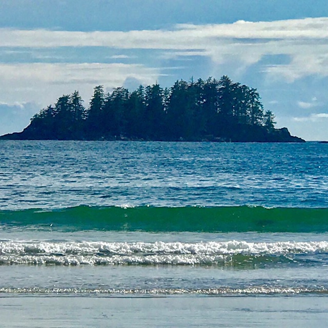 Tofino1