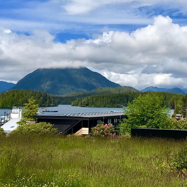 Tofino12