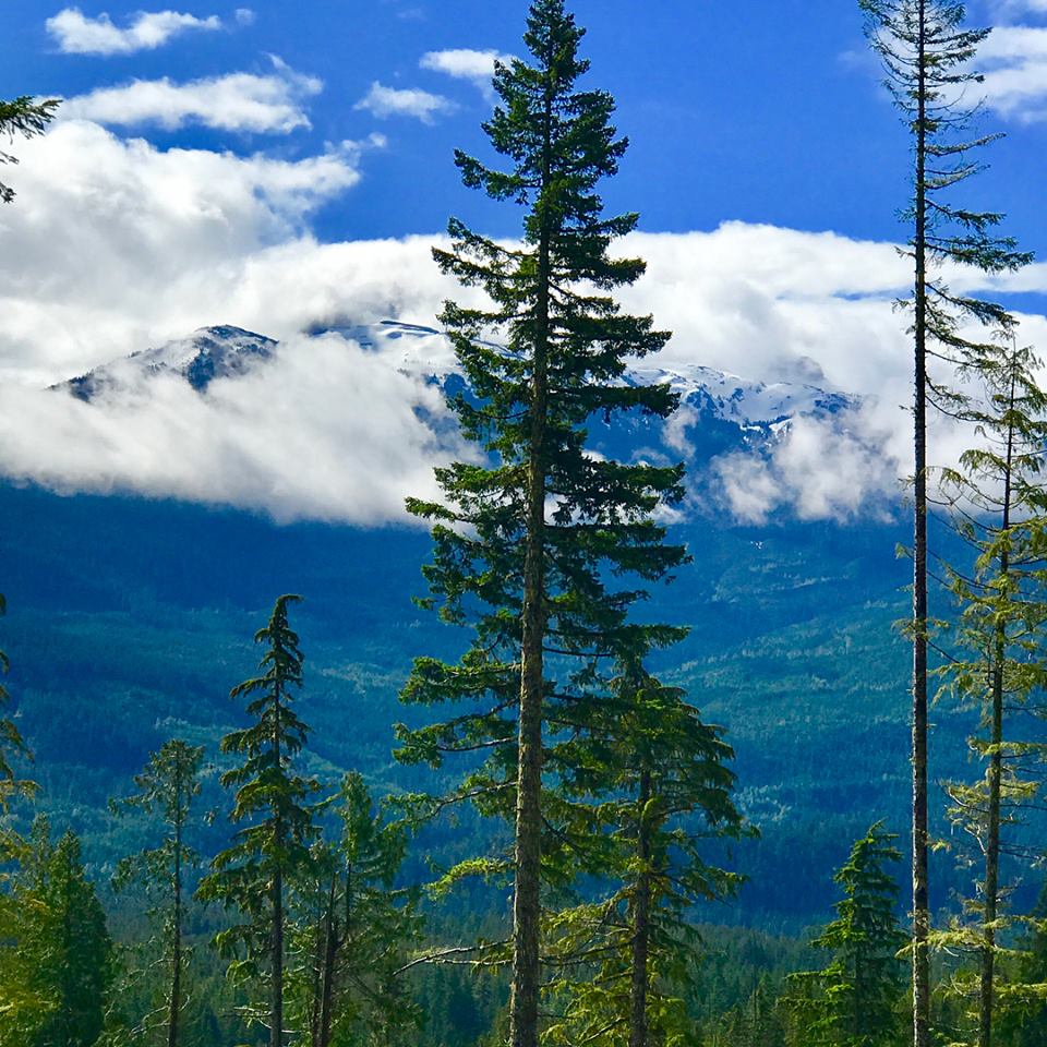 Wedgemont Lake Trail Whistler2