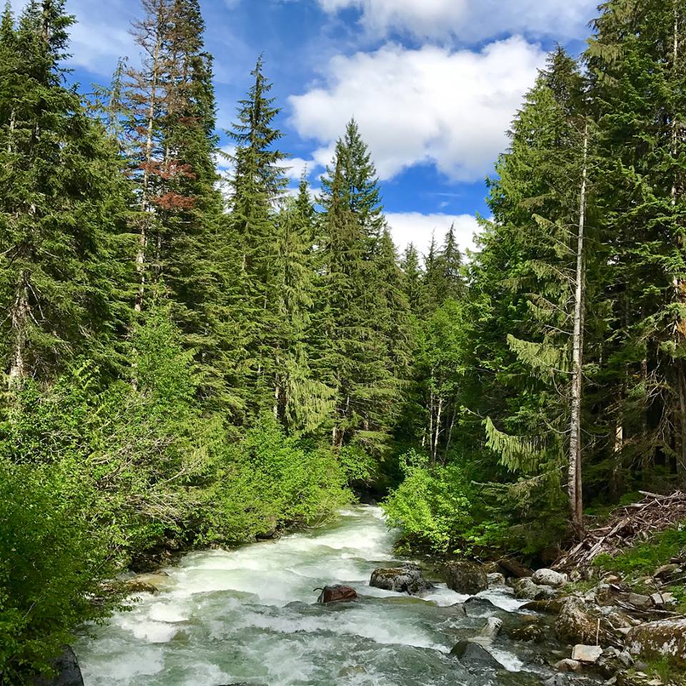 Wedgemont Lake Trail Whistler6