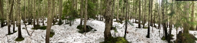 Whistler panoramic