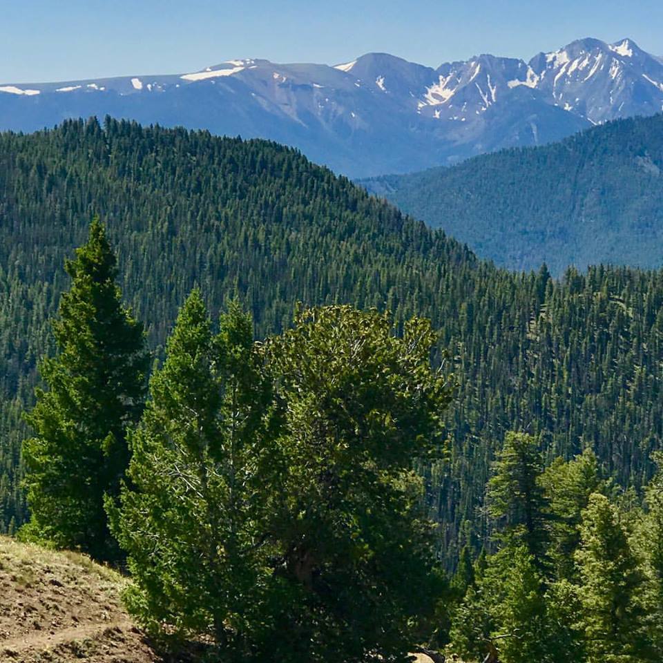 Burnt Creek last trail run