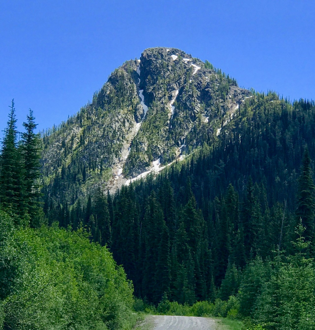 Gray creek Kootney Lake3