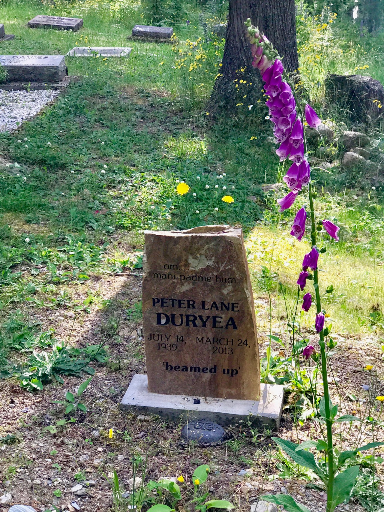 Gray creek Kootney Lake5