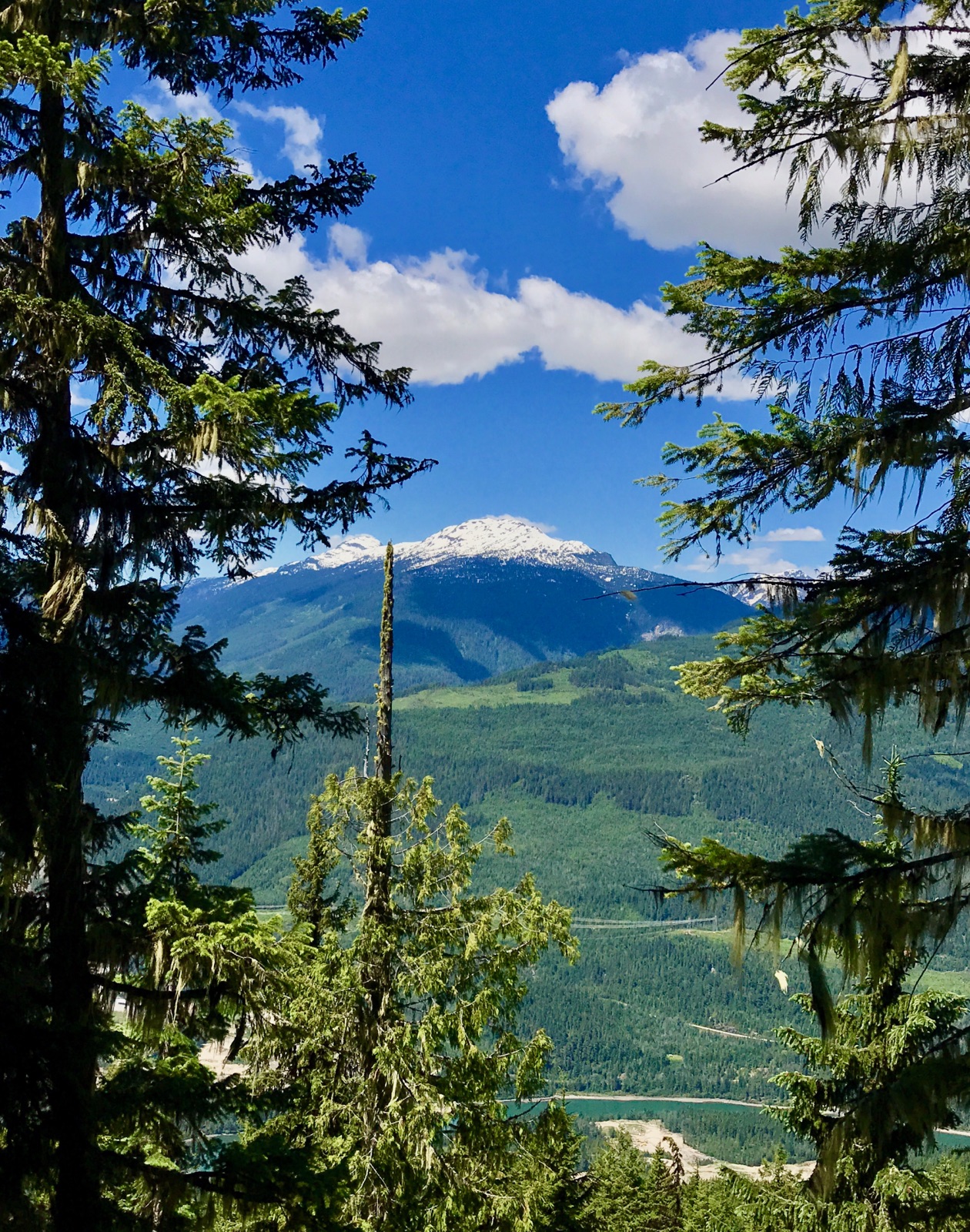 Revelstoke Lindmark Trail3