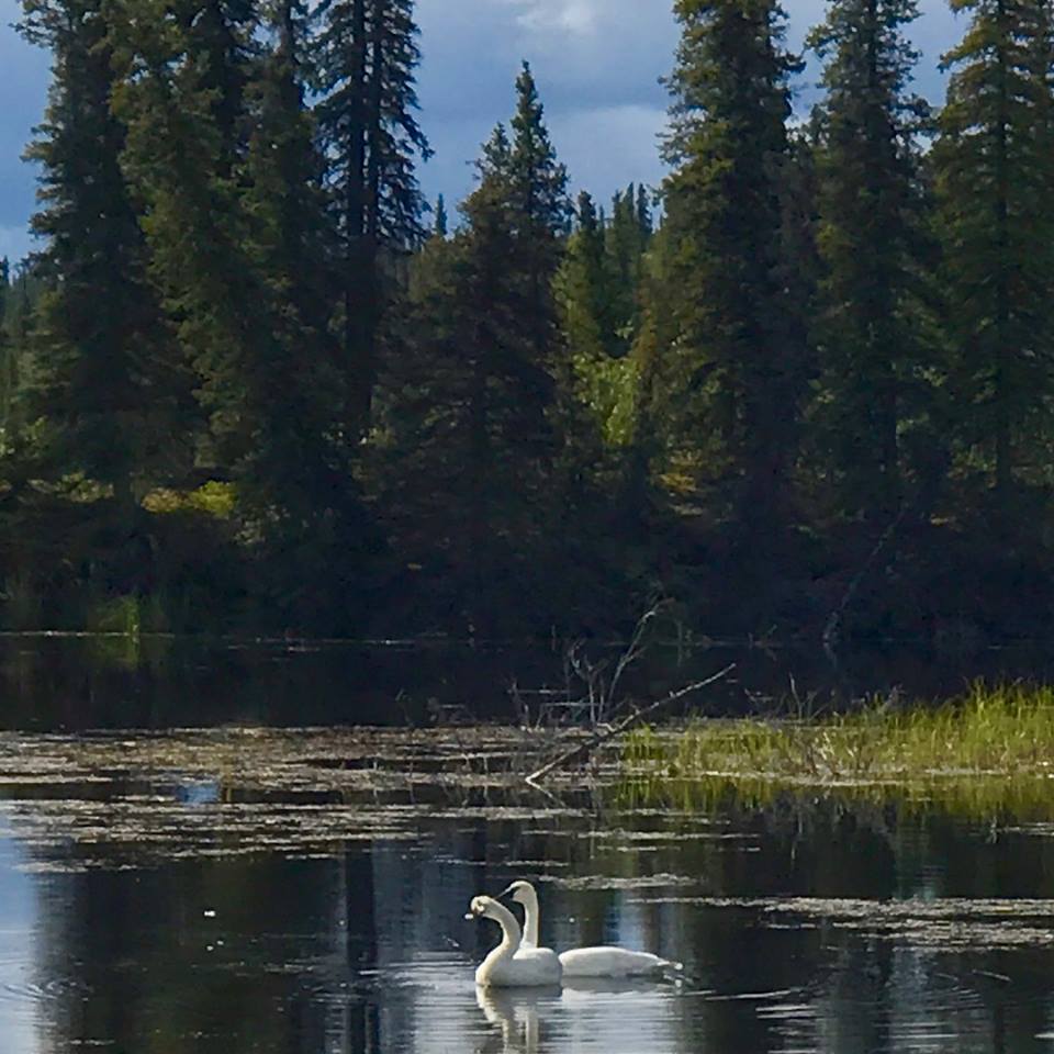 Wrangell-Saint Elias AK