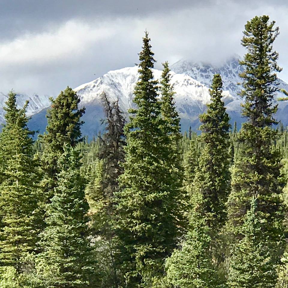 Wrangell-Saint Elias AK2