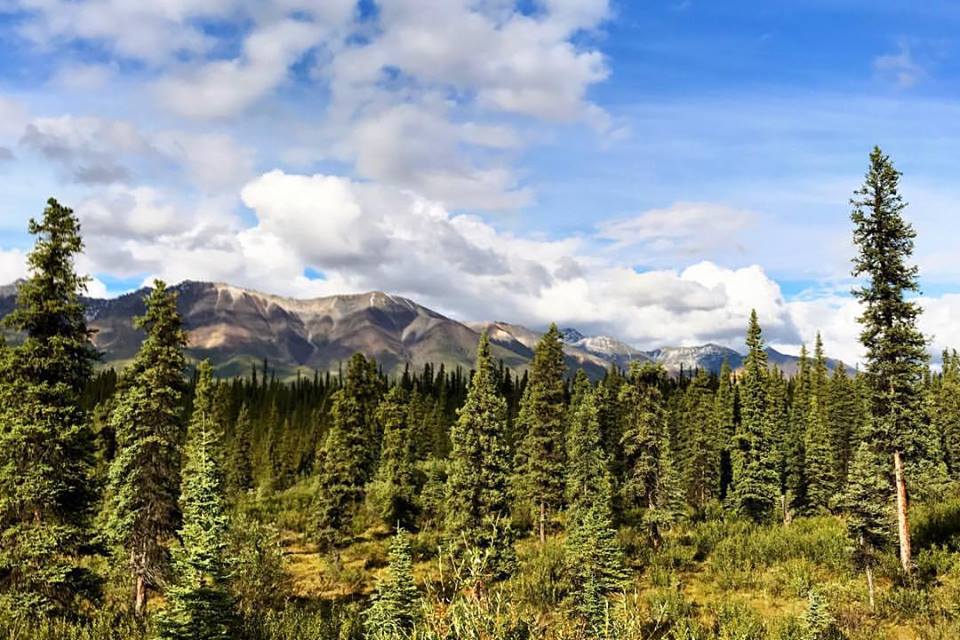 Wrangell-Saint Elias AK3